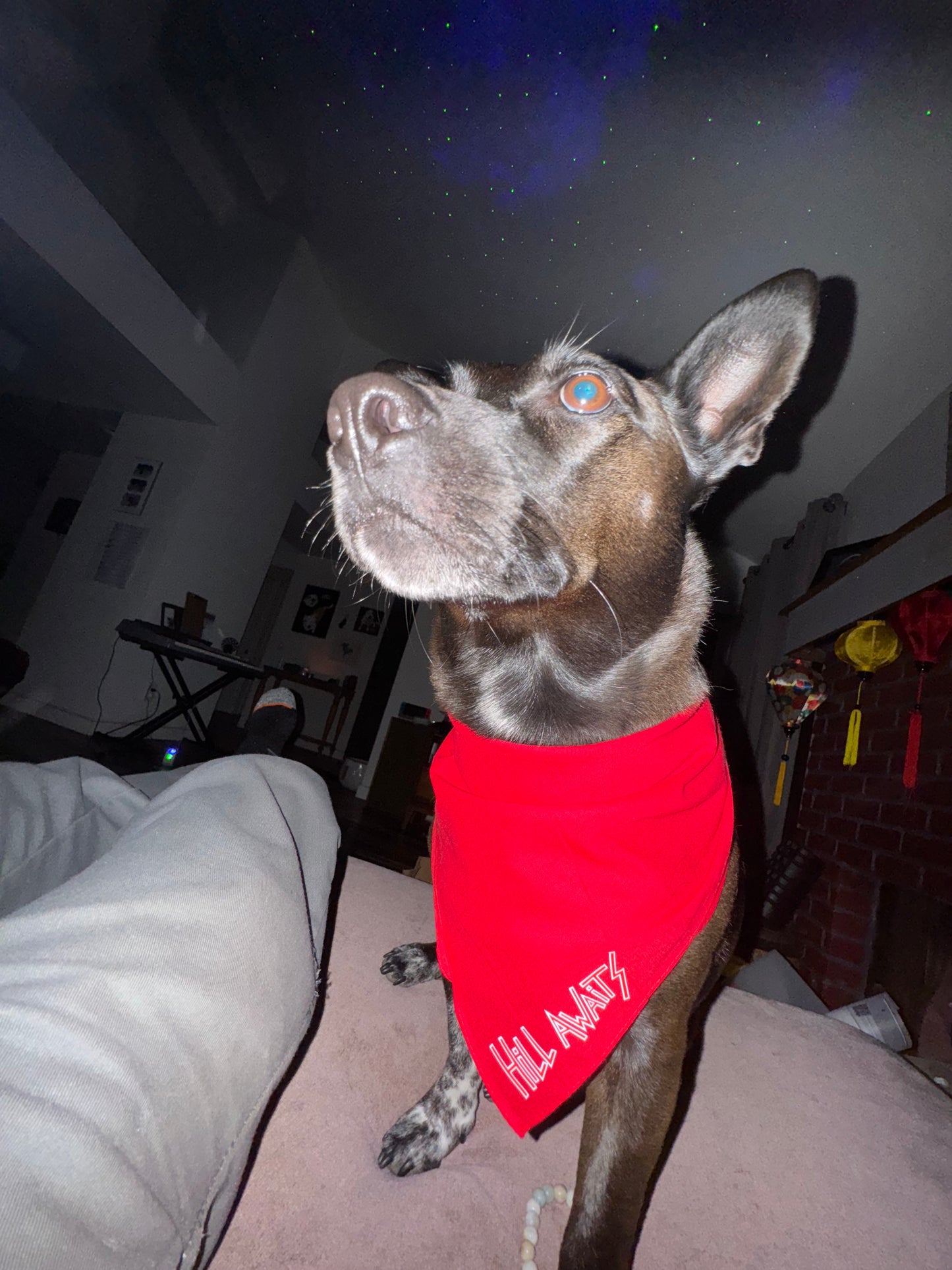Hill awaits Red bandana
