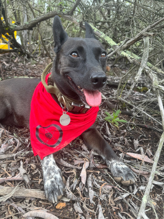 Hill awaits Red bandana
